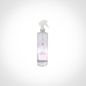 Spray Igienizzante Ricarica 500 ml